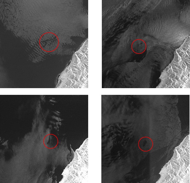 Рис. 1. Нефтепроявления напротив м. Горевой Утёс на фрагментах РЛИ Sentinel-1A от 18.05, 30.05, 11.06 и 30.06.2015 (площадь пятен от 0,4 до 5 кв. км). © ESA