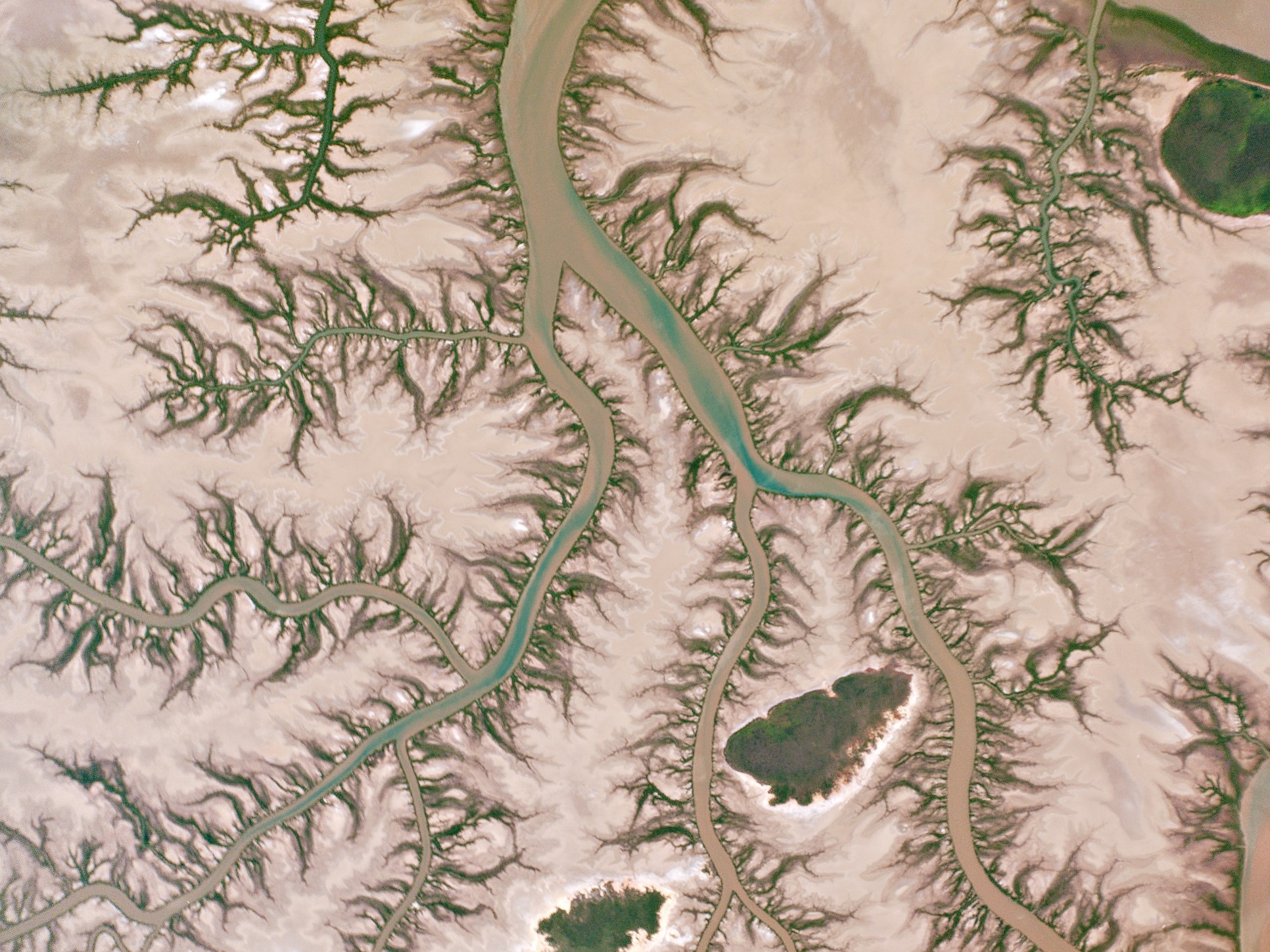Рис. 2. Разветвленные притоки, которые выстроились в ряд с мангровыми деревьями, извиваются по приливной отмели вблизи дельты реки Кип в Австралии.