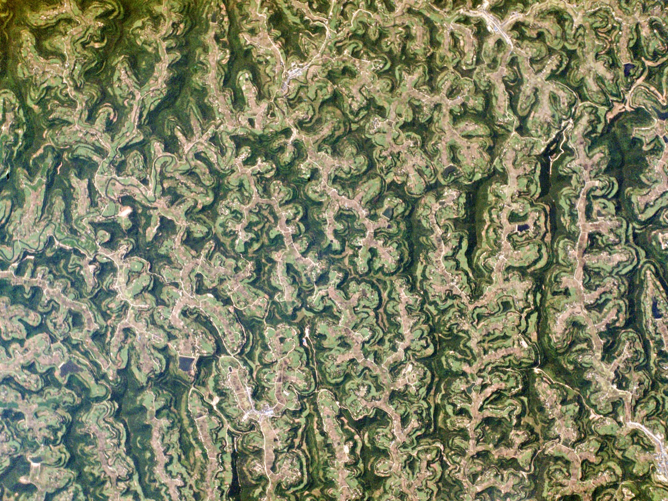 Рис. 6. В этой пересеченной местности провинции Сычуань поля (главным образом рисовые) покрывают поверхность долины, и почти все, кроме самых крутых склонов, образуют террасы, чтобы освободить место для еще большего количества культур.