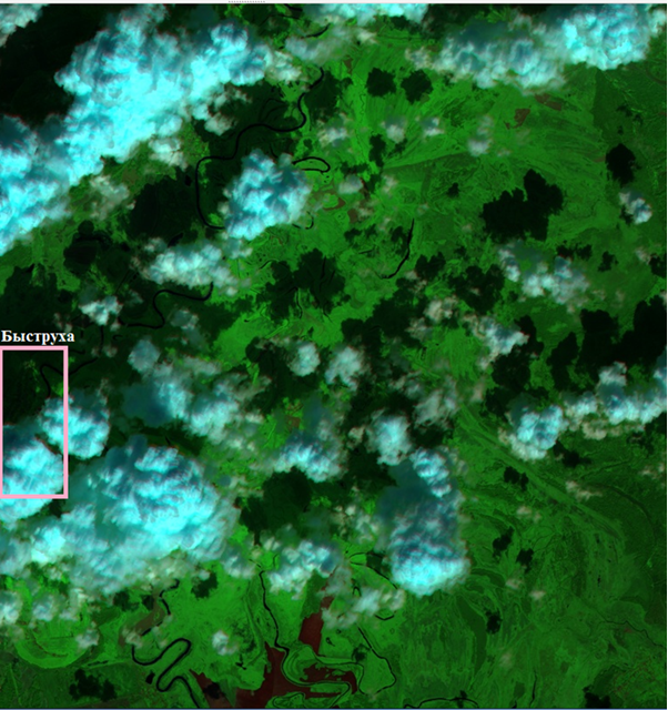 Рис. 4. Фрагмент Sentinel-2A от 17.08.2024, близь села Быструха. Рис. 4. Фрагмент Sentinel-2A от 17.08.2024, близь села Быструха.