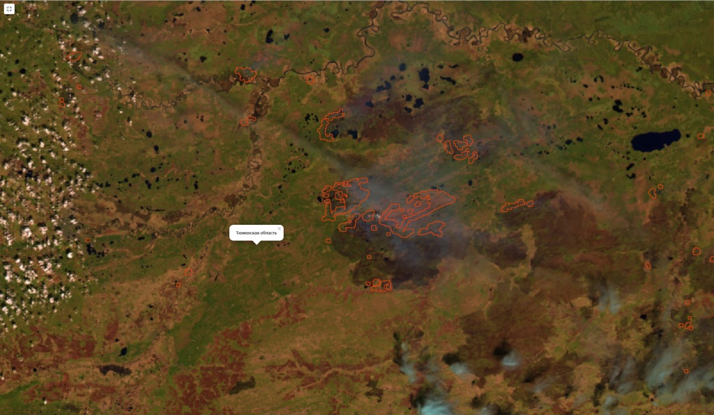 Фрагмент снимка NOAA-20 (false color) района пожаров в Тюменской области за 14 мая 2021 г. снимок_20210514_NOAA-20_false.jpg