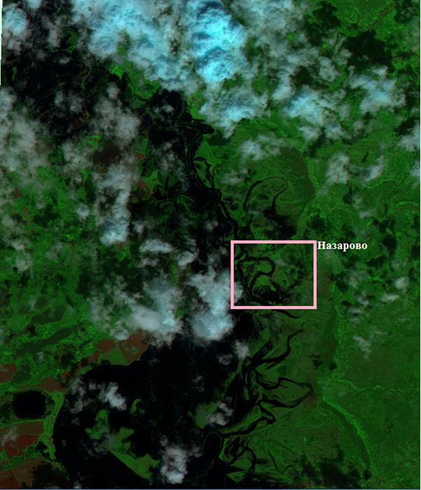 Рис. 5. Фрагмент Sentinel-2A от 29.05.2025, близь села Назарово. Рис. 5. Фрагмент Sentinel-2A от 29.05.2025, близь села Назарово.