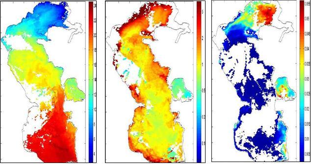 Пример карт температуры морской поверхности (слева), хлорофилла-а (в центре), интенсивности восходящего излучения на длине волны 555 нм (справа) (© «СКАНЭКС»).