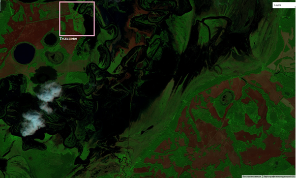 Рис. 1. Фрагмент Sentinel-2A от 29.05.2025, близь деревни Тельцово