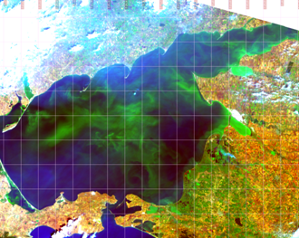 Аномальное цветение специфичного вида фитопланктона (сине-зеленых) в Азовском море на спутниковых данных MODIS (© «СКАНЭКС»)