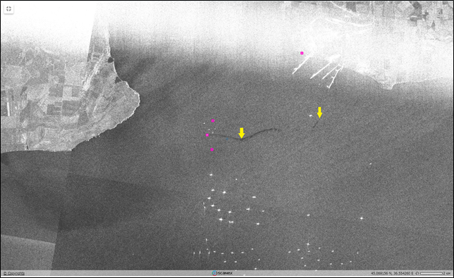 Рис. 6. Фрагмент РЛИ Sentinel-1A от 29.05.2025, 03:39 UTC. © ESA