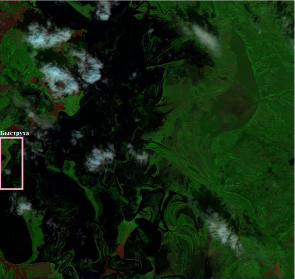 Рис. 3. Фрагмент Sentinel-2A от 29.05.2025, близь села Быструха. Рис. 3. Фрагмент Sentinel-2A от 29.05.2025, близь села Быструха.