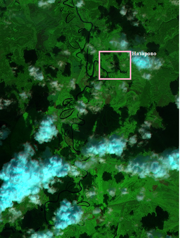 Рис. 6. Фрагмент Sentinel-2A от 17.08.2024, близь села Назарово. Рис. 6. Фрагмент Sentinel-2A от 17.08.2024, близь села Назарово.