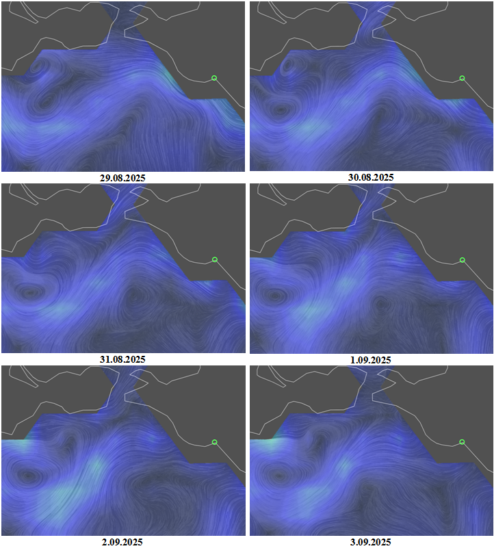 Рис. 7. Поле геострофических течений (данные модели Global Ocean Physics Analysis and Forecast, на 12:00 UTC) в северо-восточной части Черного моря с 29.08 по 3.09. 2025, которое способствовало выносу нефтяного пятна в открытое море (кружком показан Новороссийск) © Copernicus Marine Environment Monitoring Service Рис. 7. Поле геострофических течений (данные модели Global Ocean Physics Analysis and Forecast, на 12:00 UTC) в северо-восточной части Черного моря с 29.08 по 3.09. 2025, которое способствовало выносу нефтяного пятна в открытое море (кружком показан Новороссийск) © Copernicus Marine Environment Monitoring Service