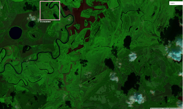 Рис. 2. Фрагмент Sentinel-2A от 17.08.2024, близь деревни Тельцово. Рис. 2. Фрагмент Sentinel-2A от 17.08.2024, близь деревни Тельцово.