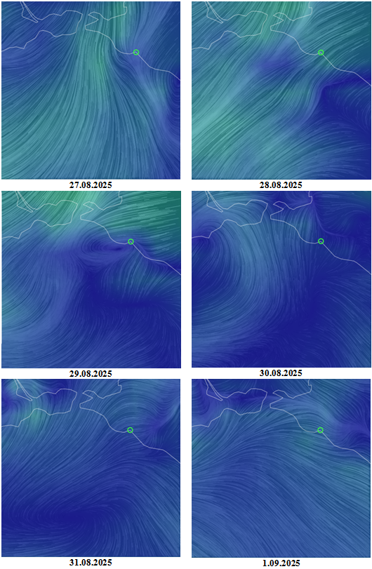 Рис. 6. Поля ветра (реанализ GFS/NCEP/US National Weather Service, на 12:00 UTC) над северо-восточной частью Черного моря с 27.08 по 1.09.2025 (кружком показан Новороссийск) © NOAA Рис. 6. Поля ветра (реанализ GFS/NCEP/US National Weather Service, на 12:00 UTC) над северо-восточной частью Черного моря с 27.08 по 1.09.2025 (кружком показан Новороссийск) © NOAA
